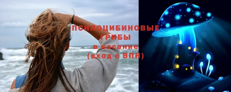 Псилоцибиновые грибы GOLDEN TEACHER Камышин