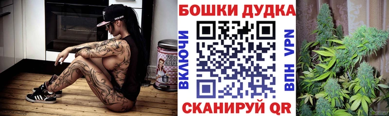 Бошки марихуана AK-47  закладка  Камышин 