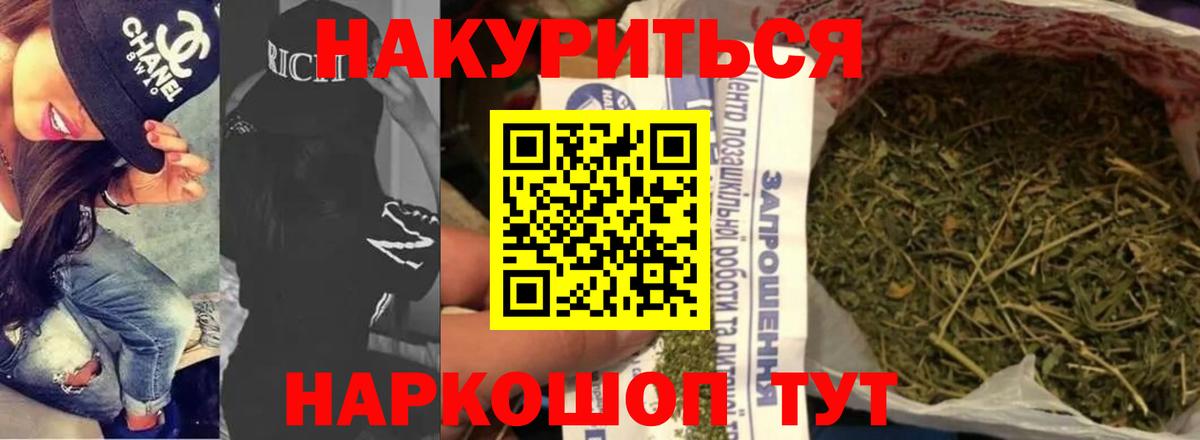 Бошки марихуана конопля  Канабис план  Камышин  Вход с VPN  Марихуана SATIVA & INDICA 